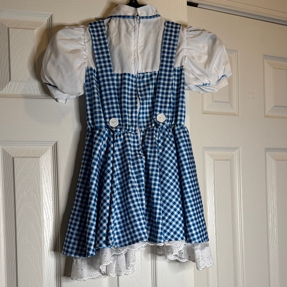 Blue Gingham Dorothy dress size small - Picture 2 of 5